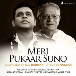 Meri Pukaar Suno Official Audio