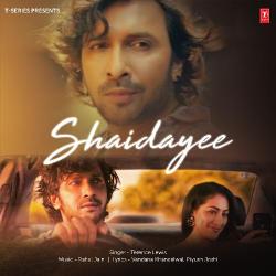 Shaidayee Official Audio