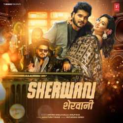 Sherwani Official Audio