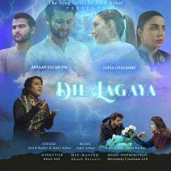 Dil Lagaya Official Audio