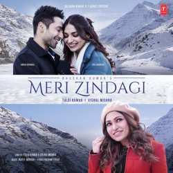 Meri Zindagi Official Audio
