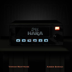 Dil Hara Official Audio