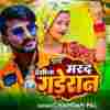 Desila Mard Gaderan