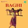 Baghi 1953