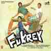 Fukrey 2013
