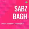 Sabz Bagh 1951