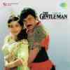 The Gentleman 1994