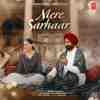 Mere Sarkaar