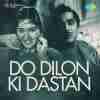 Do Dilon Ki Dastan 1966