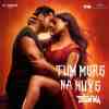 Tum Mere Na Huye Official Audio