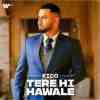 Tere Hi Hawale