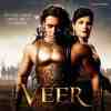 Veer 2010