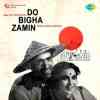 Do Bigha Zamin 1953