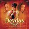 Devdas 2002