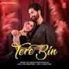 Tere Bin - Deepa Narayan Jha Official Audio