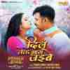 Dil Leke Bhag Jayibe Official Audio