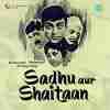 Sadhu Aur Shaitaan 1968