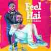 Feel Hai