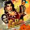 Laila 1954