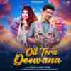 Dil Tera Deewana