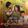 Tu Mera Sanam