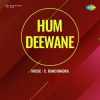 Hum Deewane 1965