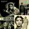 Godaan 1963