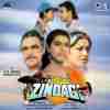 Udhaar Ki Zindagi 1994