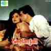 Geetanjali 1993