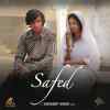 Safed 2023