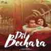 Dil Bechara Official Audio