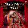 Tera Mera Viah Official Audio