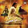 Drona 2008