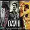 David 2013