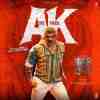 Ak - The Tiger Official Audio