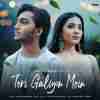 Teri Galiyon Mein - Danish Sabri Official Audio