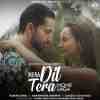 Mera Dil Tera Hone Laga