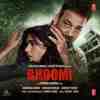 Bhoomi 2017