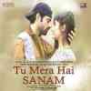 Tu Mera Hai Sanam Official Audio