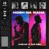 Hosh Na Raha