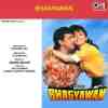 Bhagyawan 1993