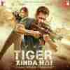 Tiger Zinda Hai 2017