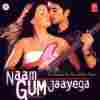 Naam Gum Jaayega 2005