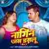 Nagin Jas Daslu Official Audio