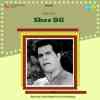 Sher Dil 1965