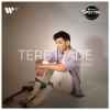 Tere Irade