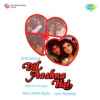 Dil Aashna Hai 1992