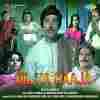 Dil Ka Raaja 1972