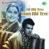 Dil Bhi Tera Hum Bhi Tere 1960