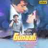 Gunaah 1993